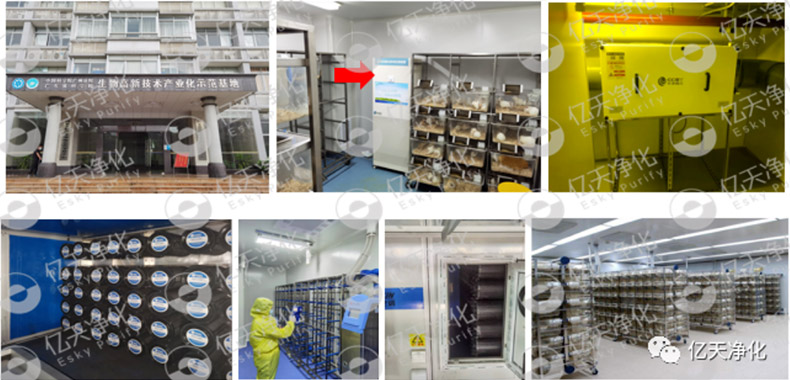 動物實驗室難聞的惡臭異味有哪些危害？如何去除？——動物實驗室去除臭味異味空氣質量控制方案